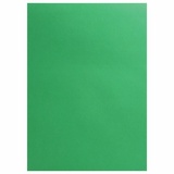 Цветной картон двусторонний ОСТРОВ СОКРОВИЩ 129312, А4 180 г/м2 10 листов, зеленый, тонировынный в массе