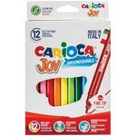 Фломастеры Carioca JOy 406141 12 цветов набор.