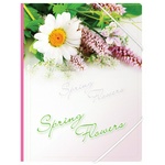 Папка пластиковая с резинками Berlingo Spring Flowers ANp_01431, А4, 550 мкм