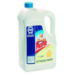Универсальное чистящее средство Procter&Gamble Mr. Proper 5л