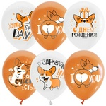 Воздушные шары ПатиБум White&Orange. Корги. С днем рождения, 25 штук, М12/30 см, декоратор, шелк