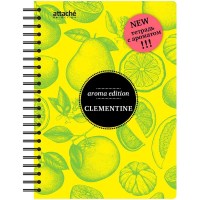 Бизнес-тетрадь Attache Selection Клементин А5, в клетку на спирали, ароматизированная, 100 л