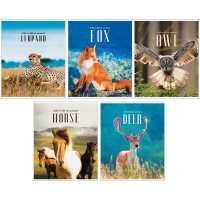 Тетрадь ArtSpace Природа. World of animals Т48к_18816, 48 л, ВД-лак, А5, клетка