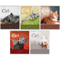 Тетрадь ArtSpace Питомцы. Cute pets Т48кС_18806, 48 л, А5, ВД-лак, клетка