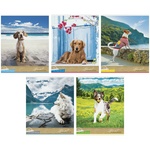 Тетрадь ArtSpace "Питомцы. Собаки. My best friend" Т40к_24292, 40 л, А5, клетка