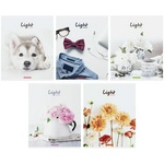 Тетрадь ArtSpace "Стиль. Light moments" Т48к_24376, 48 л, А5, клетка