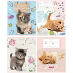 Тетрадь 12л., косая линия BG "Cat story" Т5ск12 7015