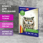 Бумага для рисования и графики в папке А4, 20 л., 200 г/м2, ВАТМАН ГОЗНАК, BRAUBERG ART CLASSIC, 114…