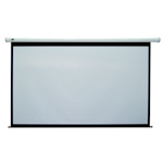 Экран настенный моторизированный Classic Solution Lyra, 248 х 189 см