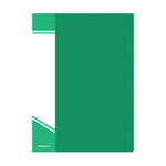 Папка 10 карманов inФОРМАТ NP0142-10G, А4, зеленая