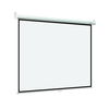 Экран настенный Digis 240 х 240 см ...