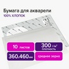 Бумага для акварели ХЛОПОК 100%, 300 г/м2, 360x460 мм,  ...