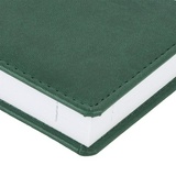 Ежедневник Attache Сиам, датированный на 2020 г, А5, 143х210 мм, зелёный, искусственная кожа, 180 л