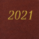 Ежедневник датированный на 2021 BRAUBERG Iguana 111420, кожзам, золотой срез, А4, коричневый, 210х297 мм