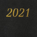 Ежедневник датированный на 2021 BRAUBERG Iguana 111379, кожзам, золотой срез, А5, черный, 138х213 мм