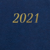 Ежедневник датированный на 2021 BRAUBERG Iguana 111381, кожзам, золотой срез, А5, синий, 138х213 мм