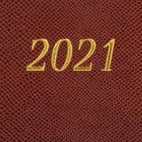 Ежедневник датированный на 2021 BRAUBERG Iguana 111382, кожзам, золотой срез, А5, коричневый, 138х213 мм