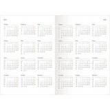 Ежедневник InFolio Lozanna, датированный на 2021 г, А5, 140х200 мм, коричневый, искусственная кожа, 176 л