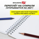 Скетчбук, белая бумага 100 г/м&sup2;, 140х201 мм, 60 л., гребень, жёсткая подложка, BRAUBERG ART, &quot;Котик&quot;, 115062