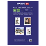 Папка для акварели BRAUBERG ART CLASSIC Сакура 125224, БОЛЬШОГО ФОРМАТА А3, 10 листов, 200 г/м2