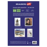 Папка для акварели BRAUBERG ART CLASSIC Осенний лес 125226, А4, 20 листов, 200 г/м2