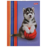 Набор для первоклассника в подарочной упаковке "Учись с удовольствием", HATBER, Нп4_17692, N268759